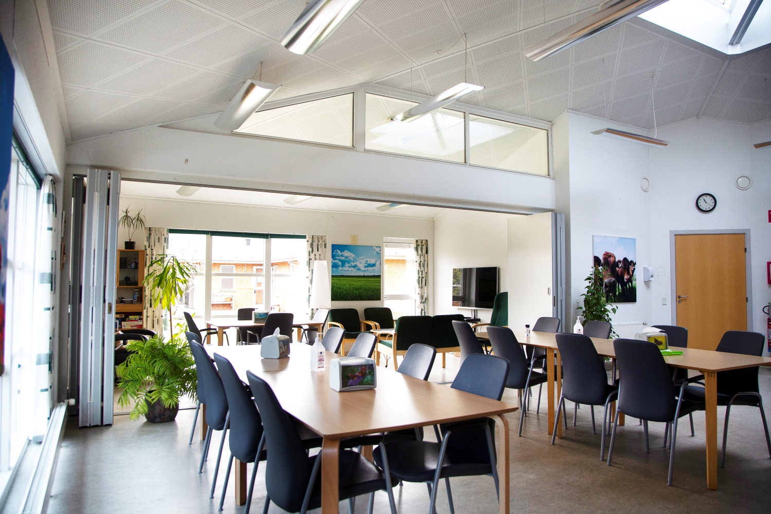 Spisestue og dagligstue, gulvet er gråt på væggene er der billeder med natur, der er krukker med grønne planter i