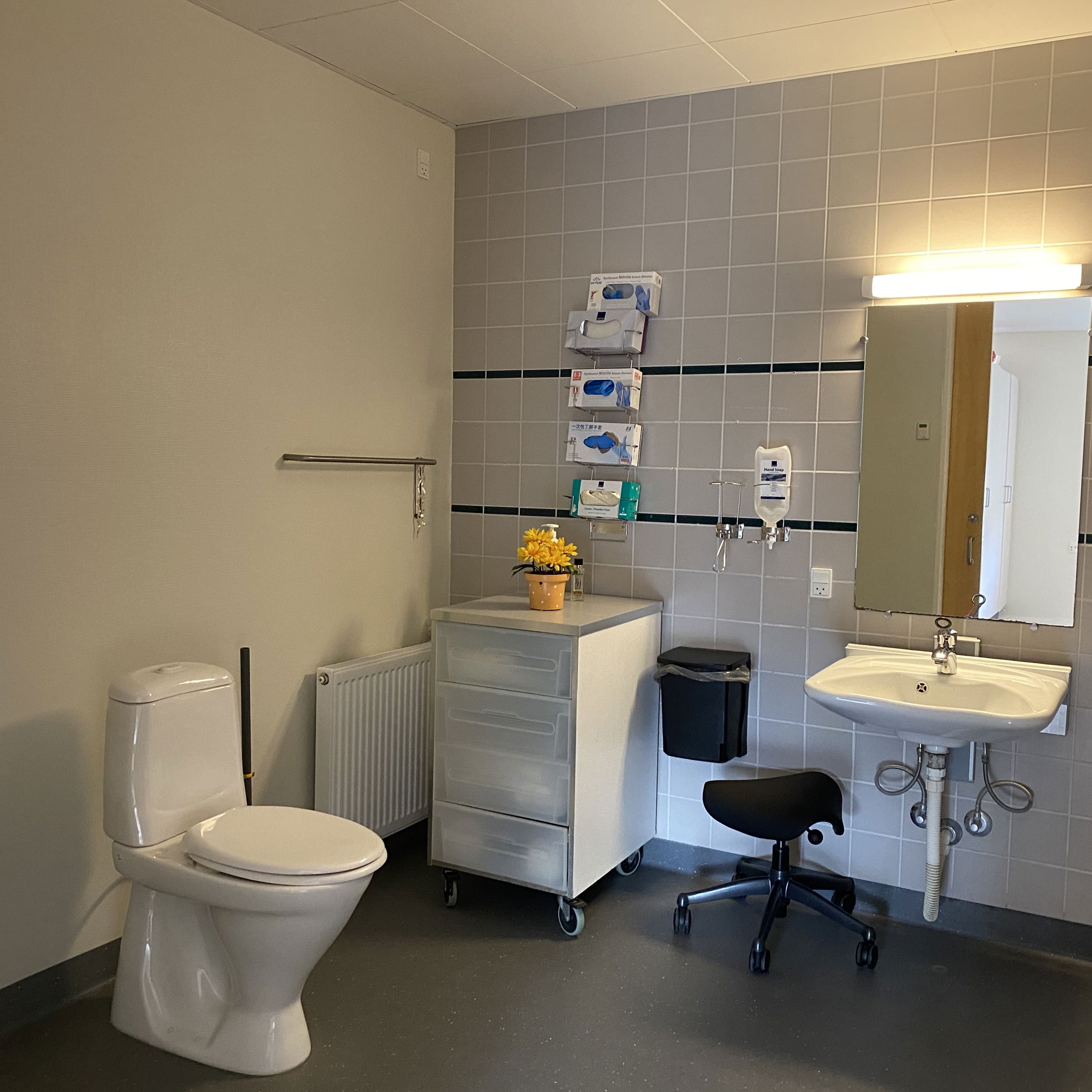 Toilet i borgers lejlighed. Der er et toilet, håndvask og et spejl. I venstre hjørne er der en komode med fire skuffer. Gulvet er mørkegråt.