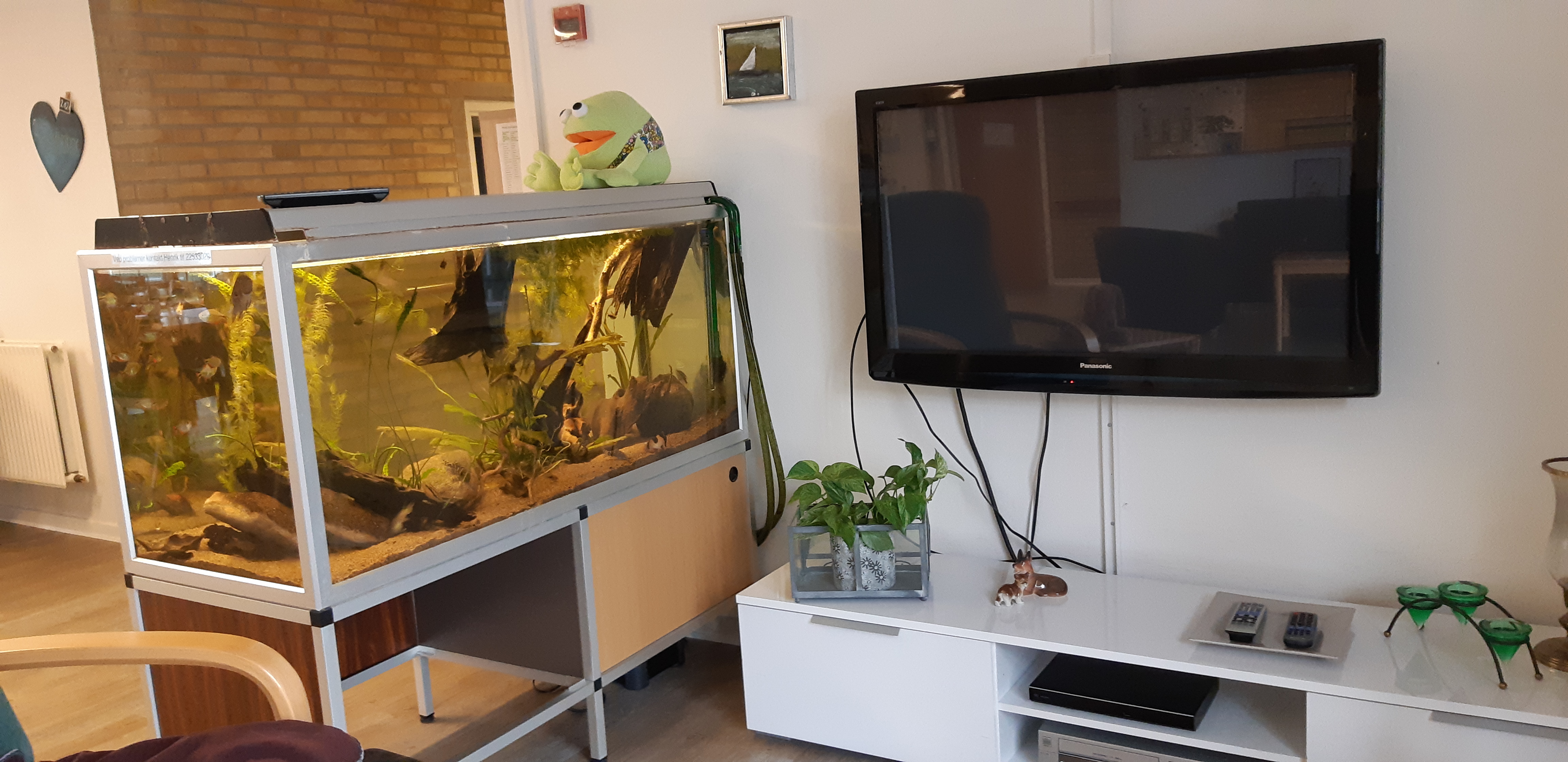 I opholdsrummet er der et tv og et akvarie. 