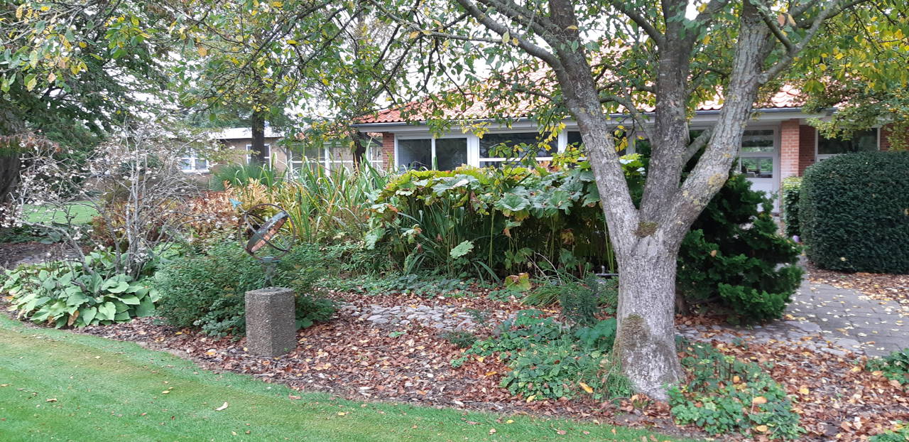 Ude i haven er der træer og græsplæne og bygningen af Solgården er i baggrunden.