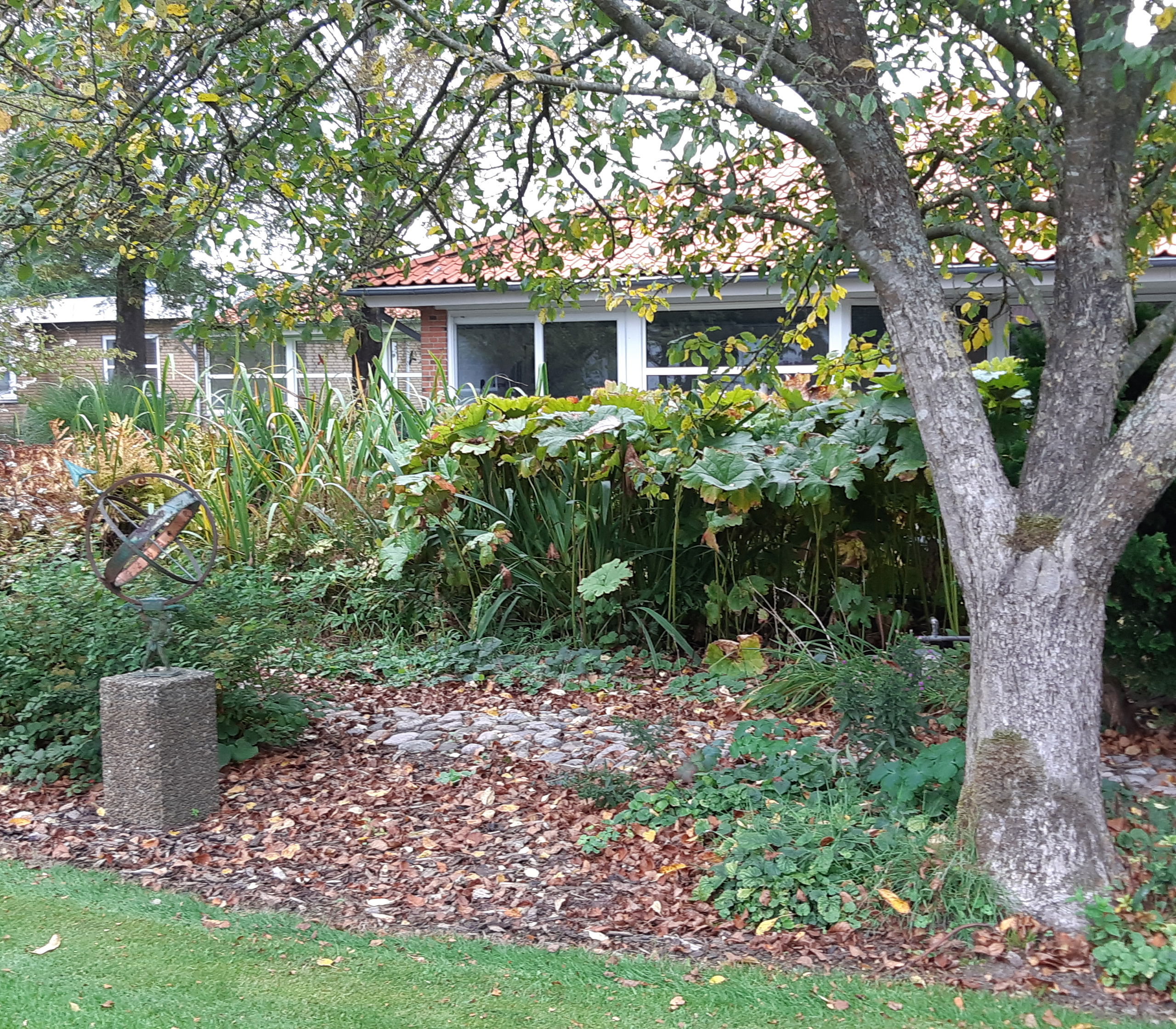 Ude i haven er der træer og græsplæne og bygningen af Solgården er i baggrunden.