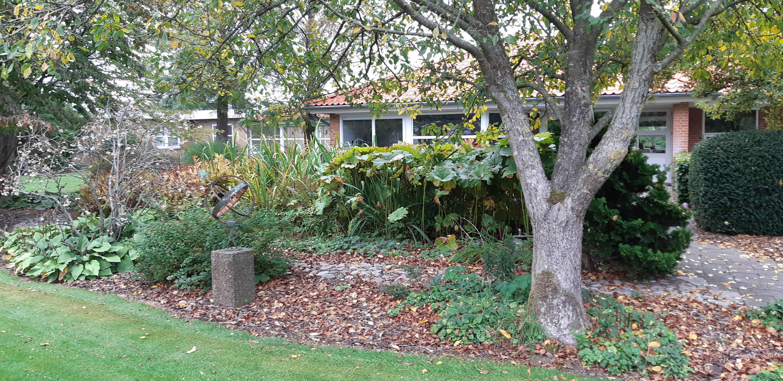 Ude i haven er der træer og græsplæne og bygningen af Solgården er i baggrunden.