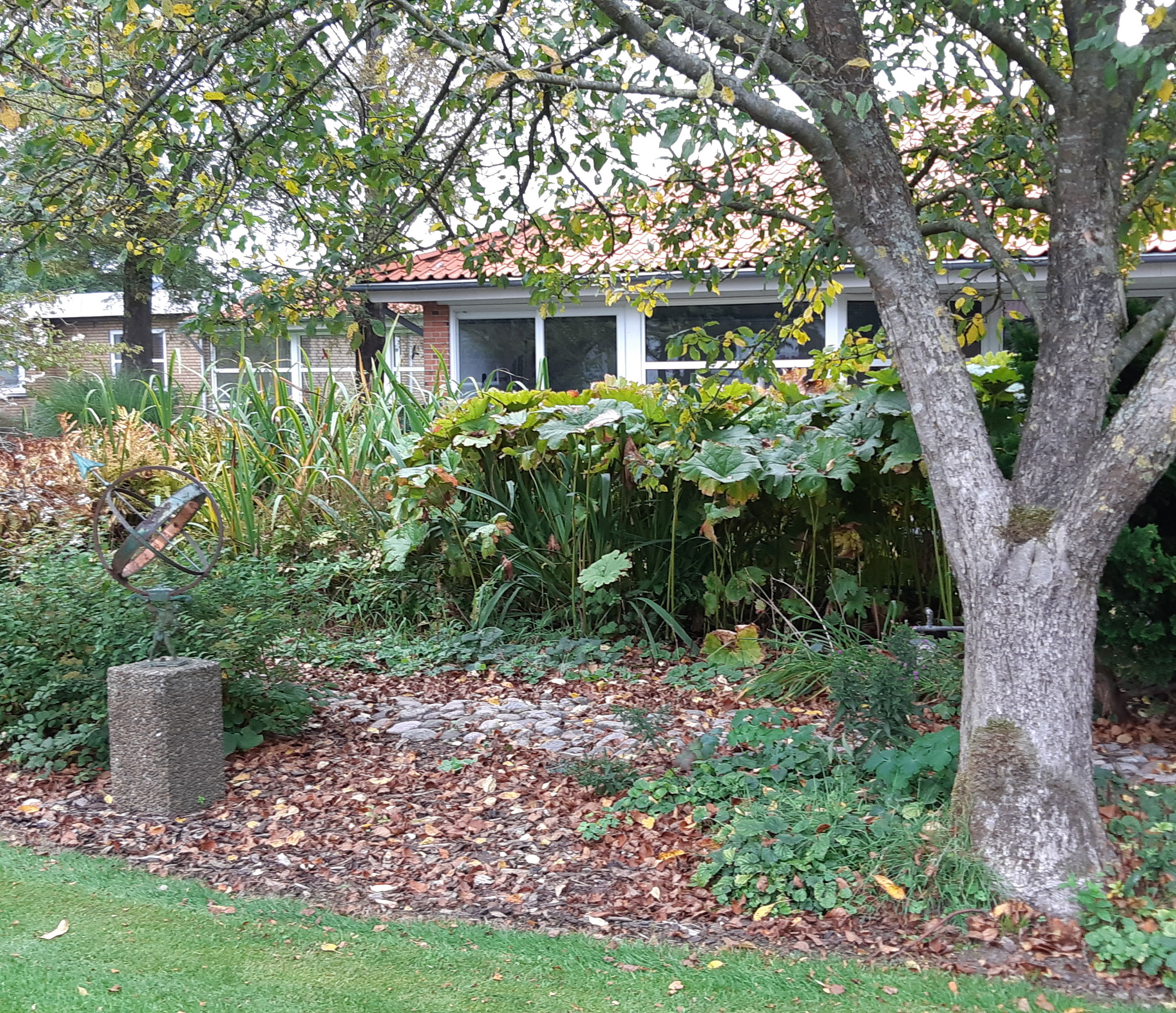 Ude i haven er der træer og græsplæne og bygningen af Solgården er i baggrunden.