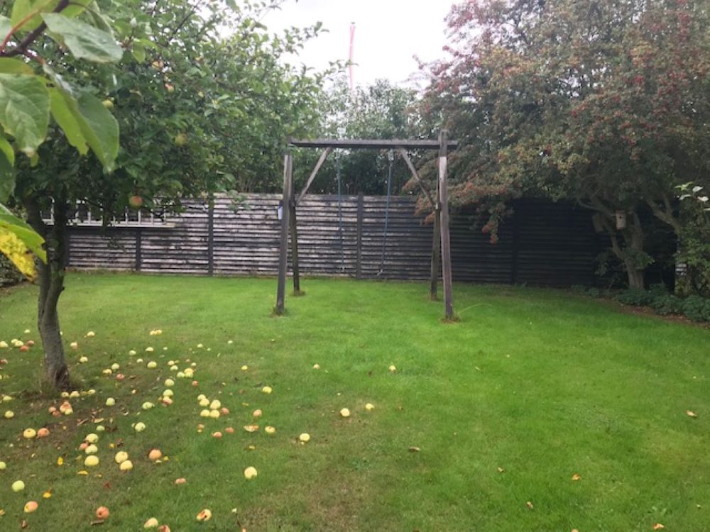 Haven på Ulriksallé, bagerst i billede står der et stakit og lige foran der er det et gyngestativ. Til højre for gyngestativet står der et æbletræ med grønne æbler.
