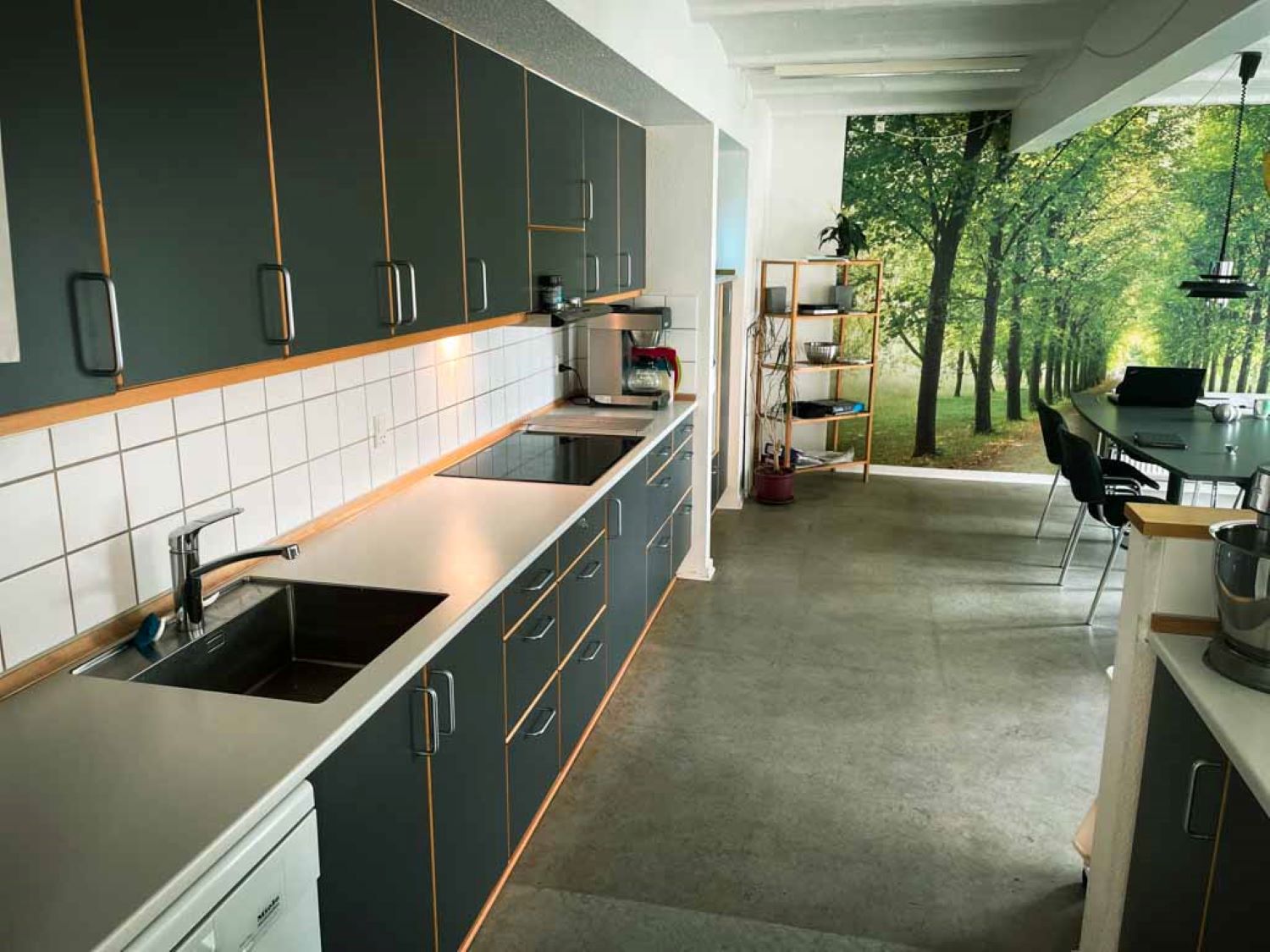 Fællekøkken på Lærkely, en aflang køkken med skabe og overskabe i mørk træ med en lys bordplade, i baggrunden er der en stor vægplakat, hvorpå der er en allé af høje træer.