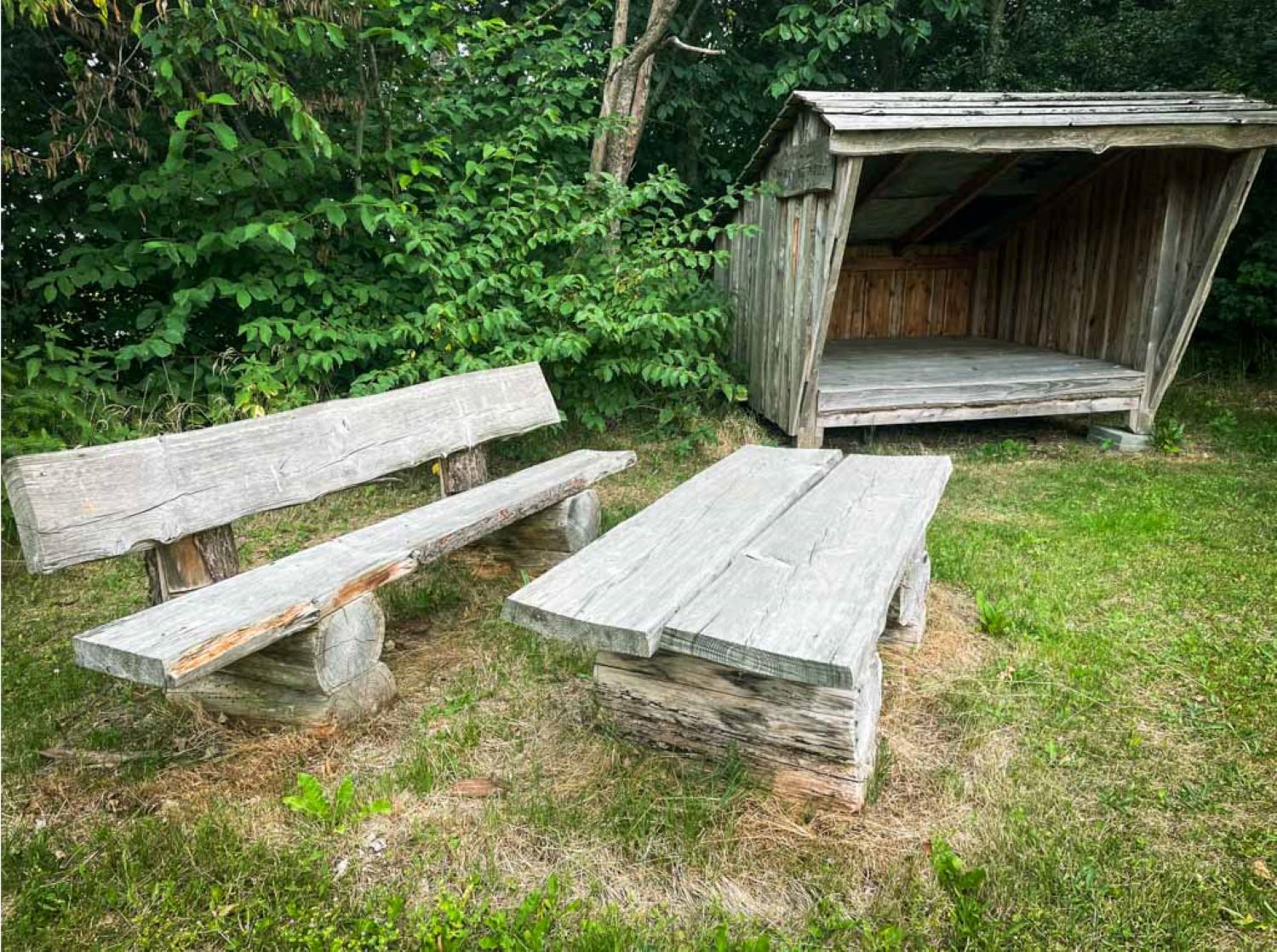 Træ shelter lavet i træplanker og det samme er bordet og bænken som står foran på en græsplæne, med buske i baggrunden.