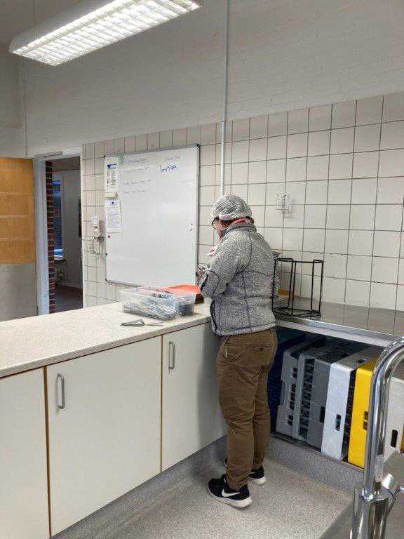 Borger står og er ved at sorterer noget ude i køkkenet, der bliver sorteret ud i forskellige plastikbeholdere.