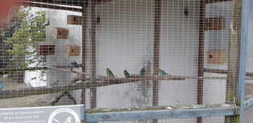 Fugle i et stort voliere.