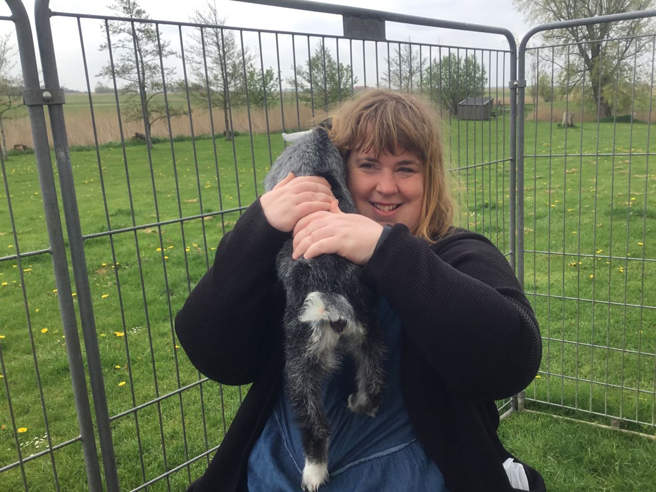 En borger sidder med et lille gedekid og kæler, hun sidder i noget der ligner et bur til geder og græsset er grønt med gule mælkebøtter i.